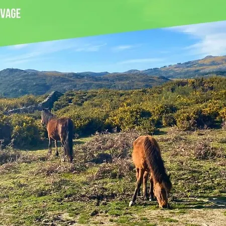 Casa De Jonathan بيت للعطل *