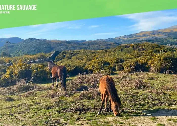 Casa De Jonathan Σπίτι διακοπών *